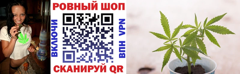 Сколько стоит Рудня ГАШИШ  Псилоцибиновые грибы  Меф мяу мяу  Конопля  COCAIN 