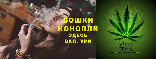 ПСИЛОЦИБИНОВЫЕ ГРИБЫ Балахна