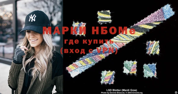 шишки Пестово