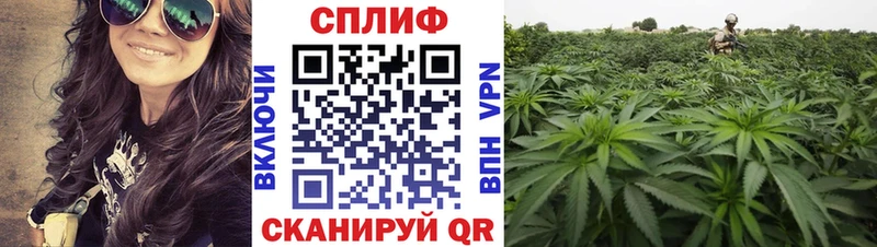 Марихуана White Widow  где продают   Рудня 